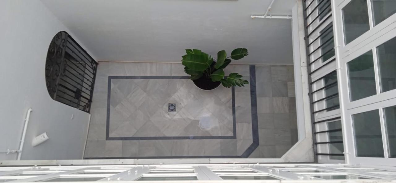 El 2 De Flamenco ático A *